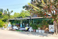 Lucky Bunny Cafe 01