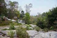 Monks Trail 02