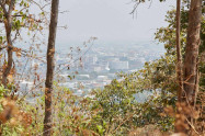 Monks Trail 03