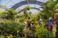 Bai Orchid Butterfly Farm 01