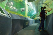 Chiang Mai Zoo Aquarium 1 Scaled