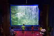 Chiang Mai Zoo Aquarium 8 Scaled