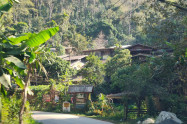 Mae Kampong Village 13