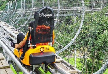 A person riding a roller coaster through a lush green forest in Chiang Mai.