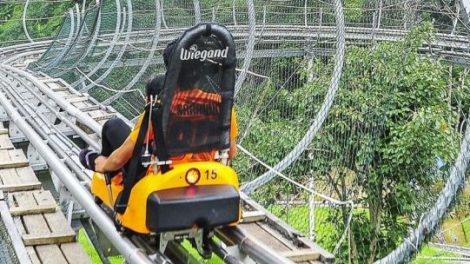 Pongyang Jungle Coaster & Zipline