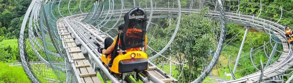 Pongyang Jungle Coaster & Zipline