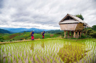 Hmong Village 01