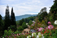 Hmong Village 05