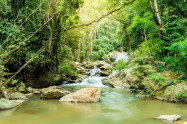 Mae Sa Waterfall 04