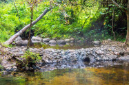 Pai Hot Springs 07