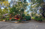 Wat Umong 06