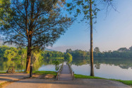 Chiang Mai University 05
