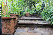 Bhubing Palace 02