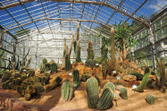 Queen Sirikit Botanic Garden 02